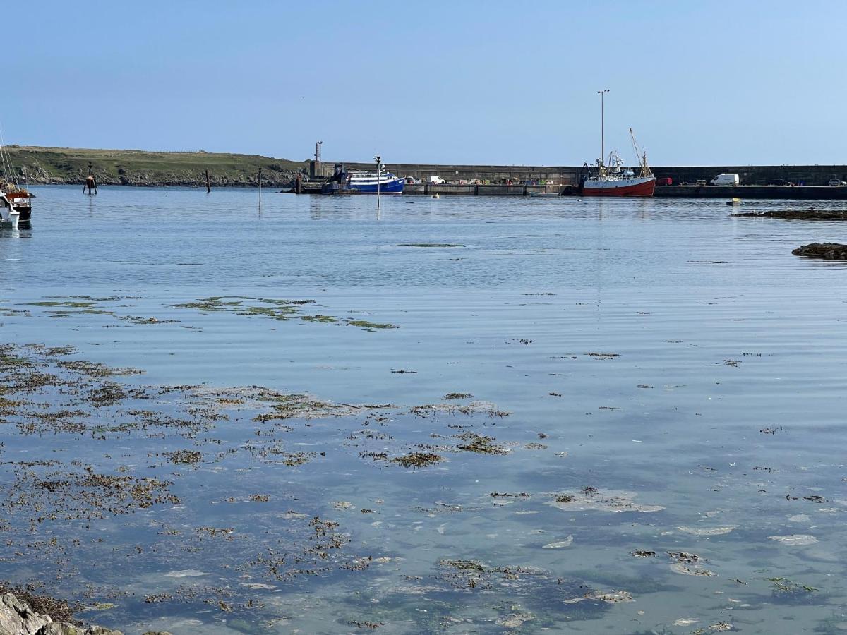 Lovely Apartment Overlooking The Harbour And Bay Ardglass Экстерьер фото